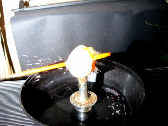 IMG_0120bis [800x600]