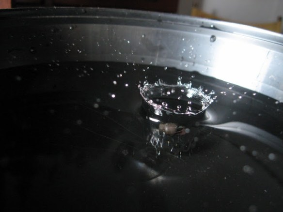 img_00882520255b800x600255d